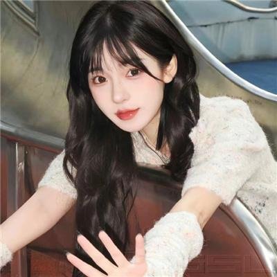 人间惊鸿客海报