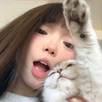 一只土拨鼠能啃掉多少海报
